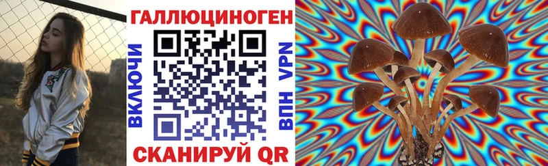 Галлюциногенные грибы GOLDEN TEACHER  Высоцк 